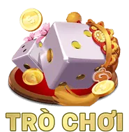 Quyền truy cập dữ liệu